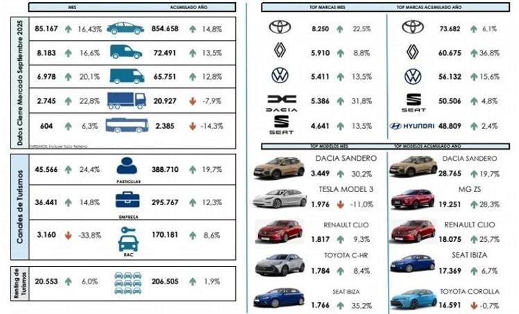 Breakdown of the passenger car market in Spain.